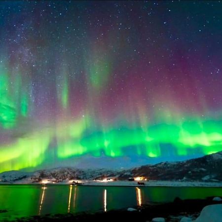 I Hjertet Av Nordens Paris. Lejlighed Tromsø Eksteriør billede